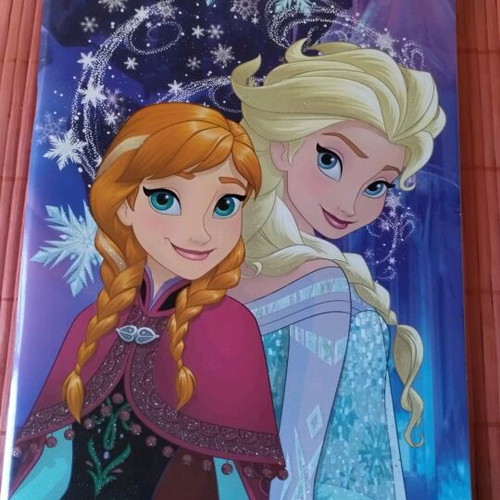 Frozen Elsa & Anna notebook new