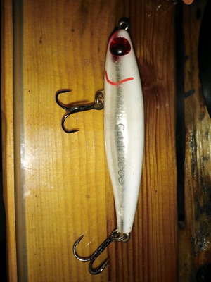 Lip less minnow sinking 17gr from Australia CATCH 2000 like new