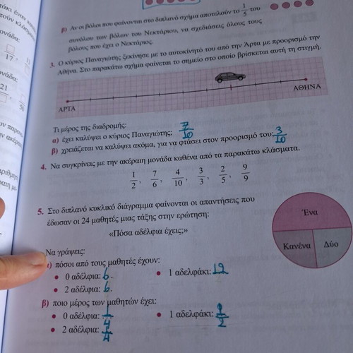 Savvalas Mathematics Grade 5 textbook like new