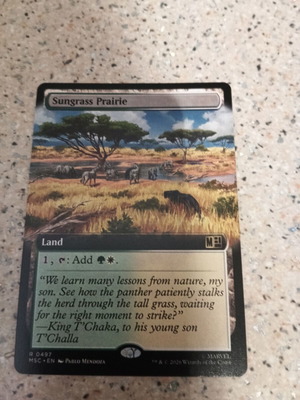 Sungrass Prairie κάρτα Magic the Gathering