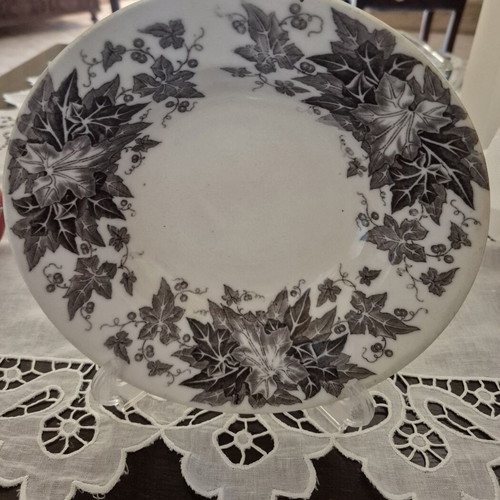 Vintage deep plate U&C Sarreguemines Bryonia