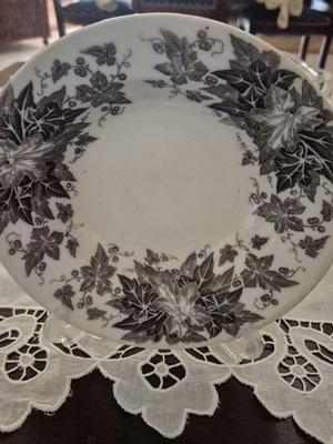 Vintage deep plate U&C Sarreguemines Bryonia