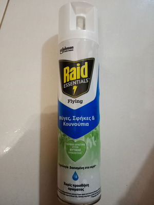 Raid Essentials insect spray for flies, wasps and mosquitoes, new