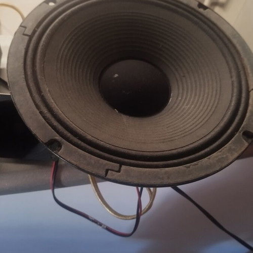 Leem 10" speakers used, pack of 2, 50W 8Ω for guitar amps