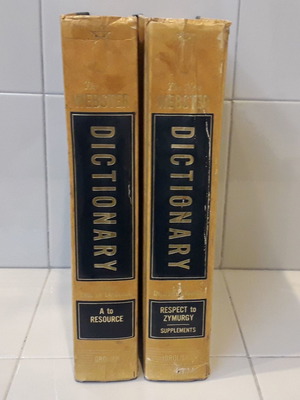 The New Webster Dictionary Of The English Language used