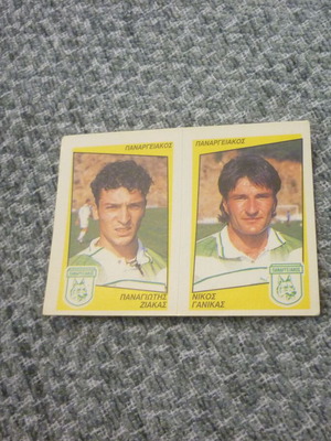 Panini Ελληνικό Ποδόσφαιρο 1998 αυτοκόλλητο Παναργειακός #460 Α-Β