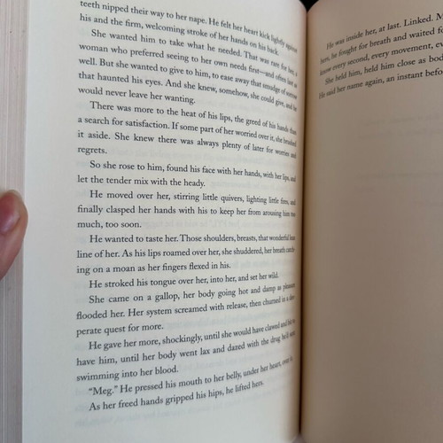 Northern Lights book like new in English by Nora Roberts