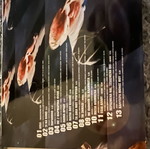 Γιώργος Αλκαίος Τα δικά μου τραγούδια greatest hits double CD μεταχειρισμένο