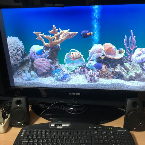 Pedioum d 3.40 desktop computer used 2GB 512GB graphics Win7 450W