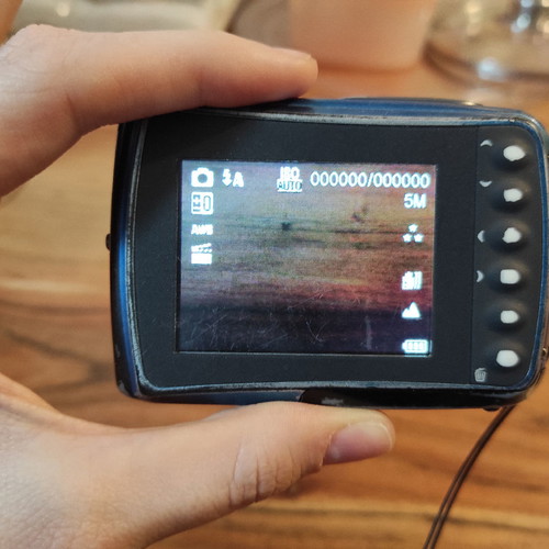 Rollei waterproof camera used, 5 megapixel