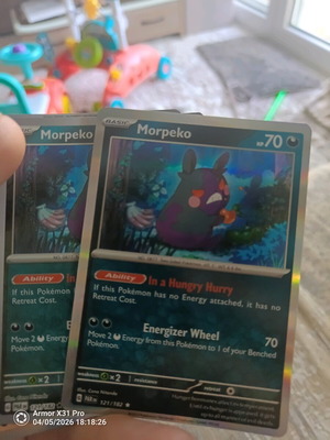 Morpeko (PAR 121) Pokémon card like new, Paradox Rift Rare Holo