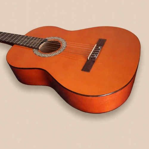 Jose Arenas C-10 classical guitar 4/4 size with soft Roadbag case