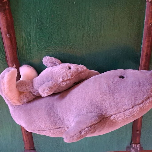 Stuffed dolphin used in good condition