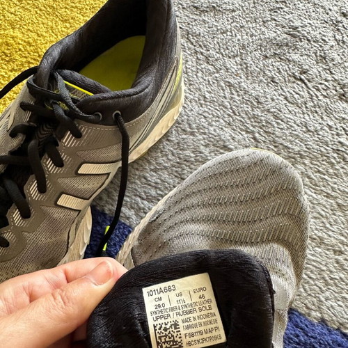 Asics Gel Nimbus 22