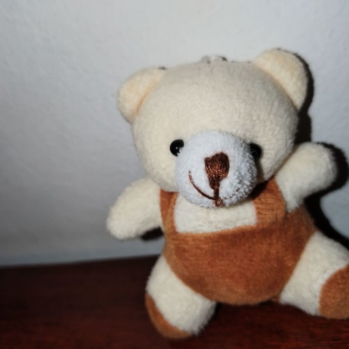 Set of 6 small plush animals used, keychain size