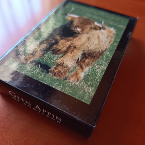 Glen Appin of Scotland Highland Cow Playing Cards brand new