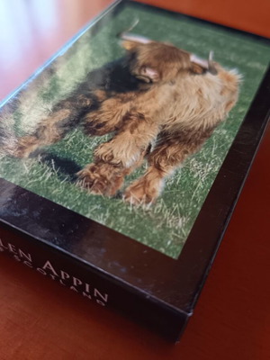 Glen Appin of Scotland Highland Cow Playing Cards brand new