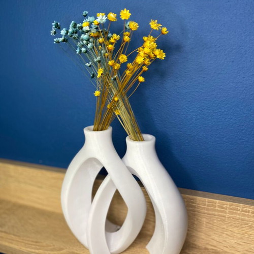 Didoxo Vase 3D printed, made to order