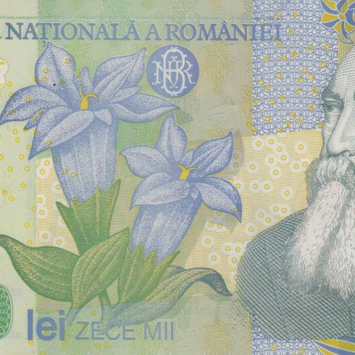 Romanian banknote used