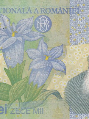 Romanian banknote used