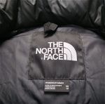 The North Face nuptse jacket