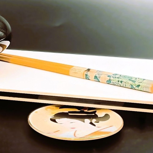 Designer Sushi Serving Tray from Plexiglas 12x28 cm new