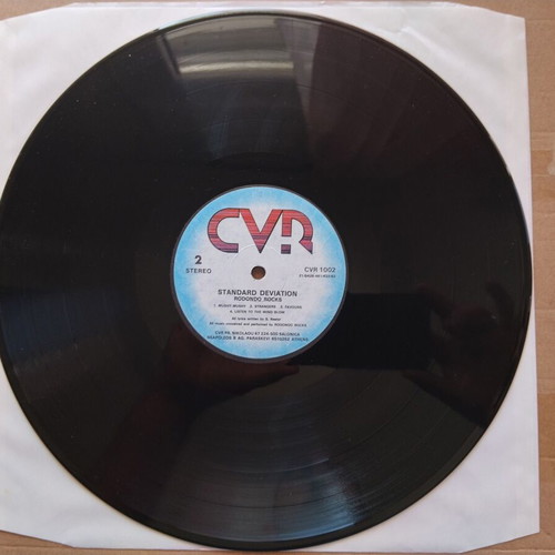 Rodondo Rocks Standard Deviation LP like new, electronic