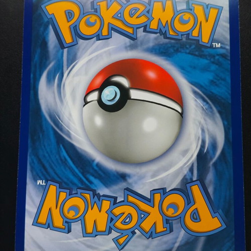 Pokemon Reshiram & Charizard GX (SM 201) Jumbo Card new