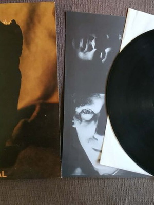 The Grim Face Of Betrayal punk rock vinyl record