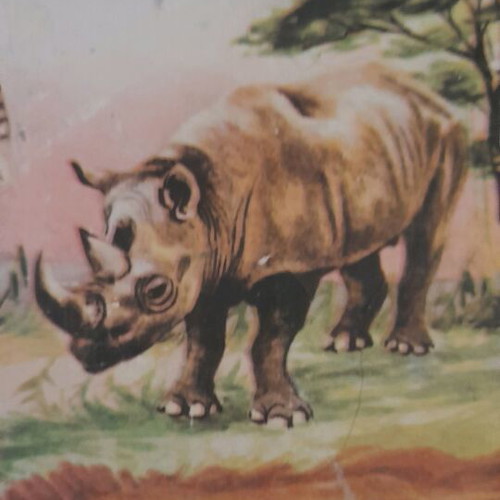 Animal posters used, set of 3, elementary zoology 1960-1975
