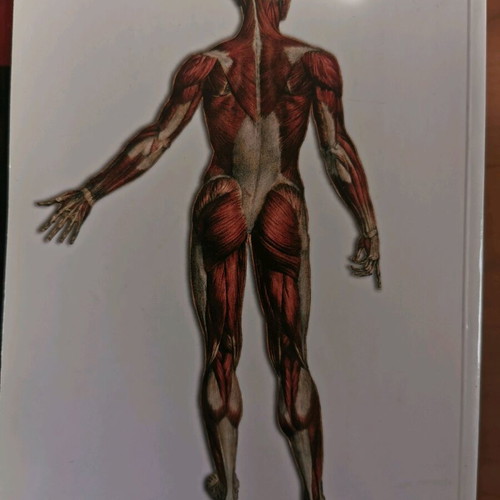 Anatomy of the Human Body used