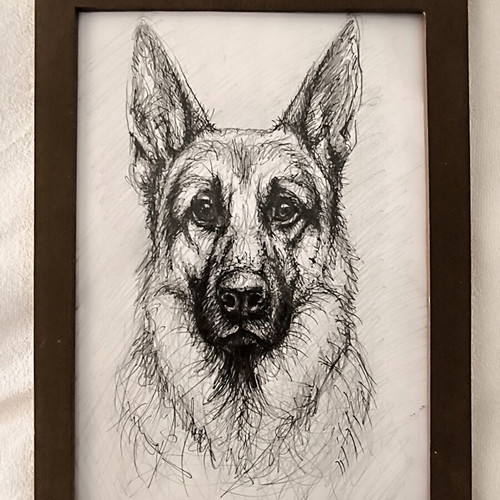 Handmade German Shepherd sketch in A4 frame, ink and premium pencils