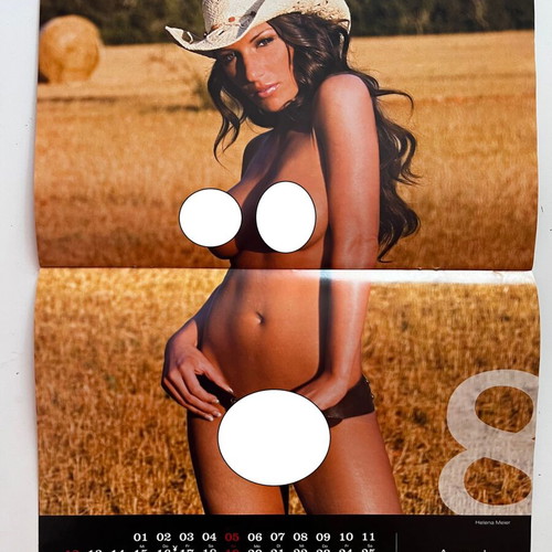 Playboy calendar 2007 used, German edition