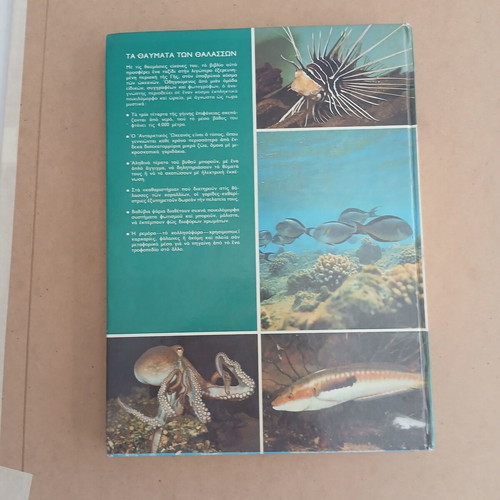 The Wonders of the Seas by Walt Disney, hardcover book