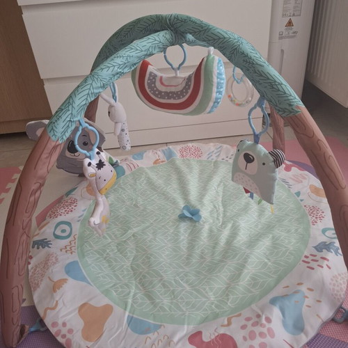 Baby Gym like new with clean fabrics and original packaging