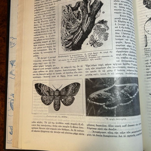 Encyclopedia O Bios ton Zoon like new, 750 pages, Eleftheroudakis