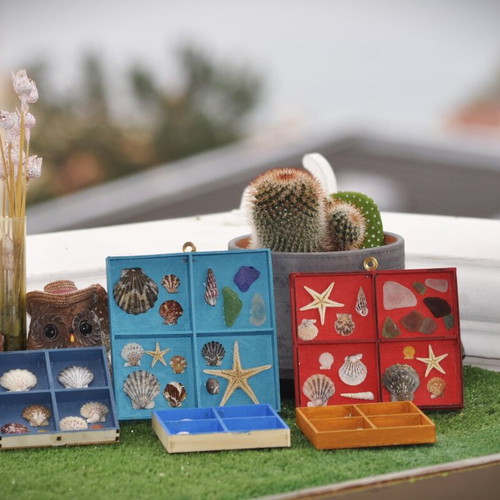 Colorful wall frames with seashells set of 5 new