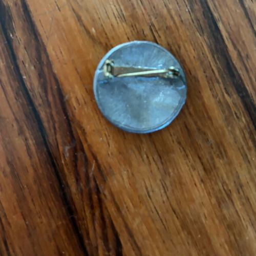 Heart and Earth pin vintage used