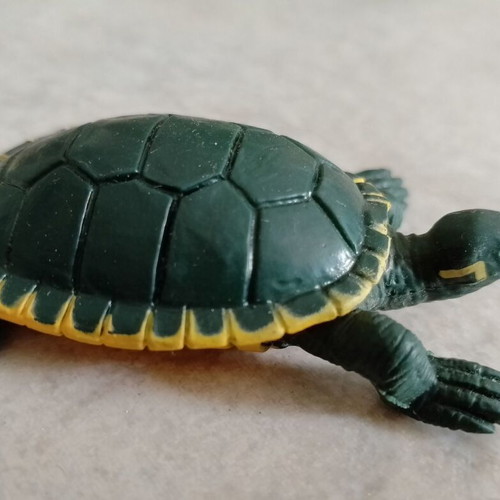 Plastic turtle figures used, set of 5