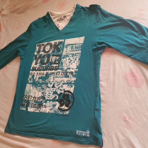 Pull & Bear Tokyo Suburbs graphic long-sleeve tee size L, teal, like new
