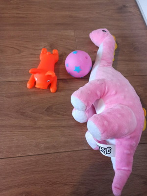 Dog toys new