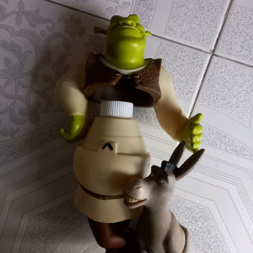 Shrek shampoo container used