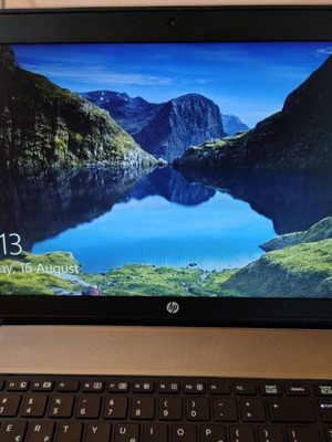 HP ProBook 450 G1 laptop 15.6" with 8GB RAM and 480GB SSD