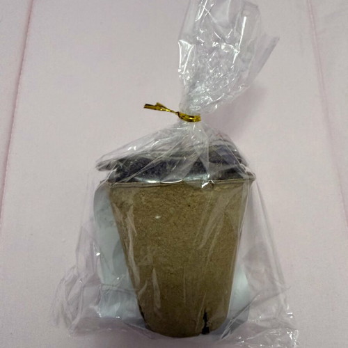 Gardening kit for kids new, pack with pot and freesia seed