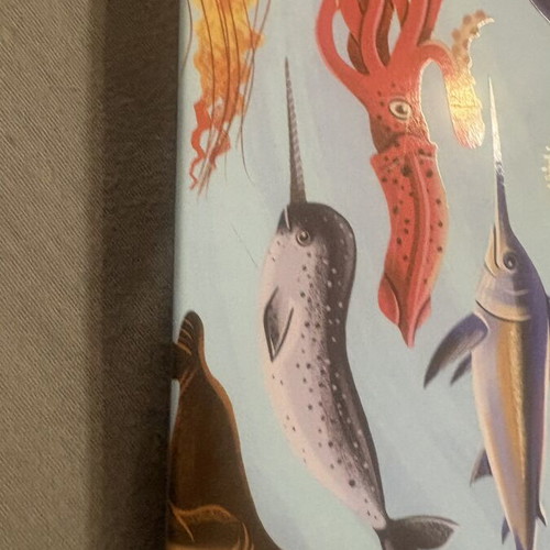 Puzzle 100 pieces new