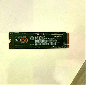 Samsung NVMe M.2 SSD 970 EVO 250GB PCI Express 3.0