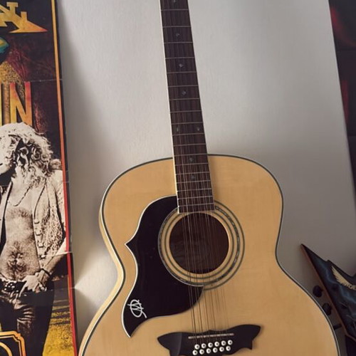 Washburn 12 String Acoustic Guitar New with Hard Case