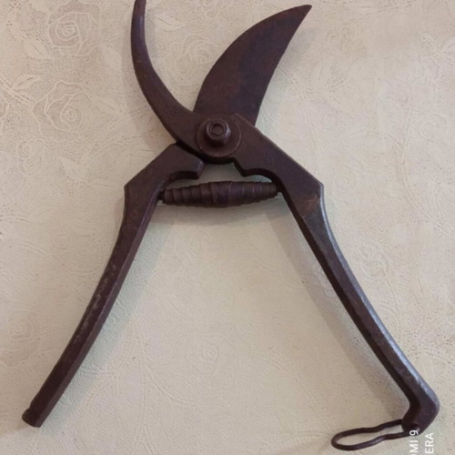 Pruning Shears used, 21 cm old tool