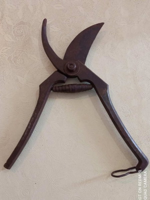 Pruning Shears used, 21 cm old tool