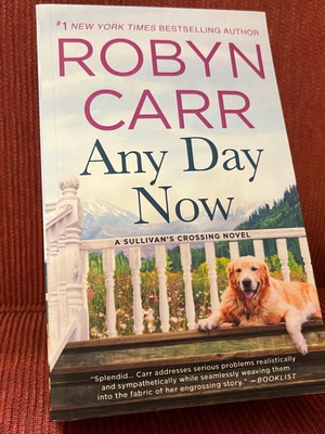 Any Day Now by Robyn Carr new English book